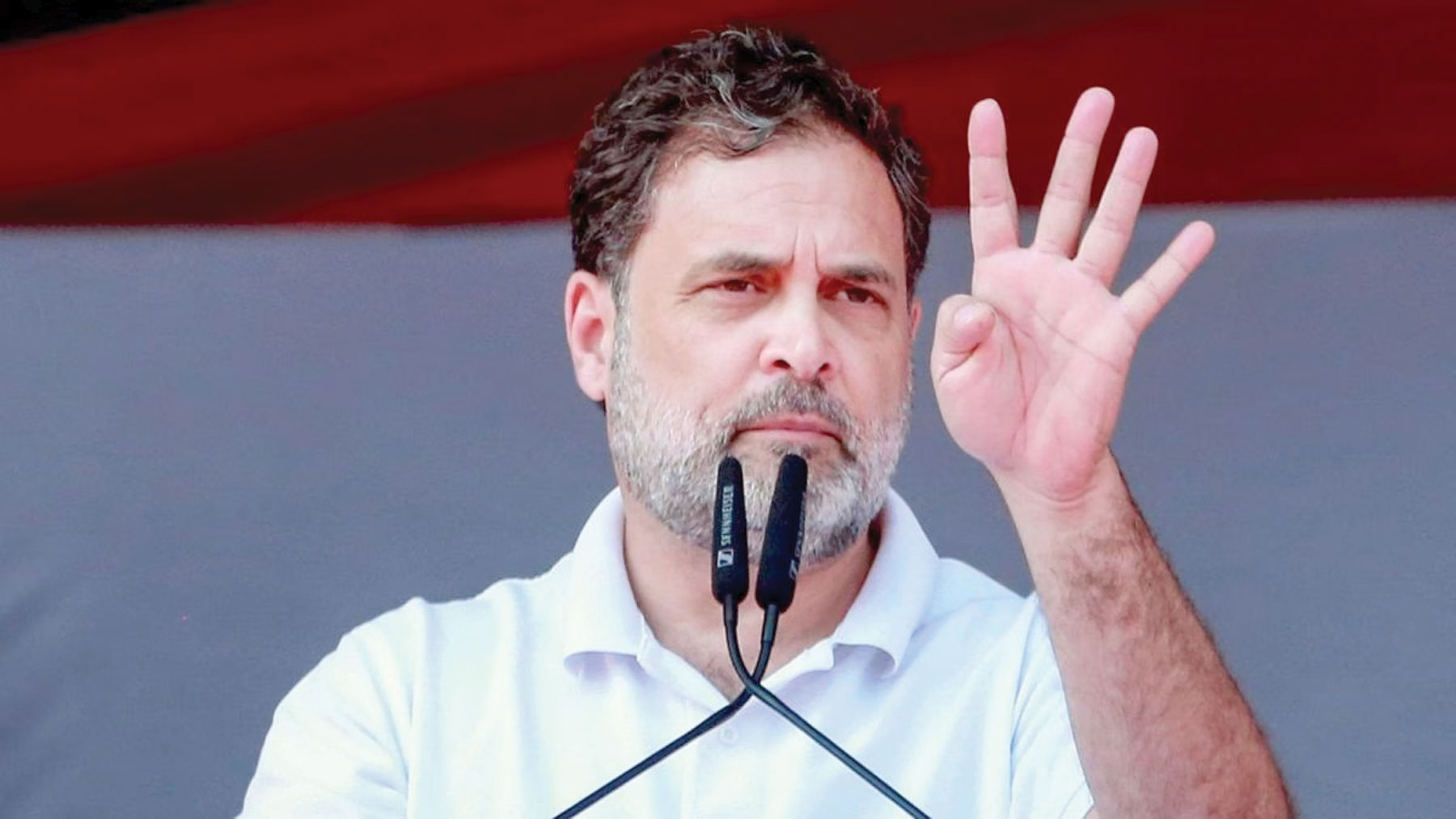 दोहरी नागरिकता केस में ट्विस्ट, राहुल गांधी के खिलाफ एफआईआर पर रोक